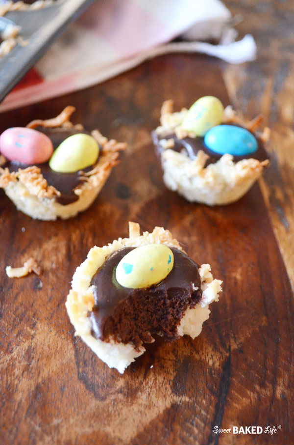 Robin's Nest Coconut Chocolate Bites