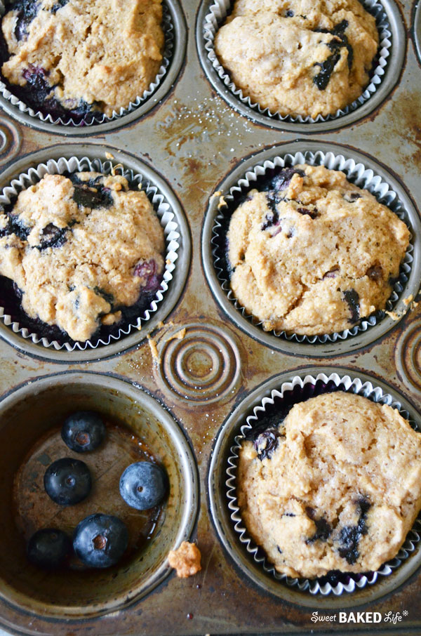 BlueberryBran Muffin