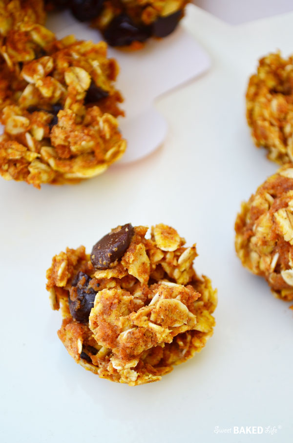 Pumpkin Oat Breakfast Bites {gluten free}