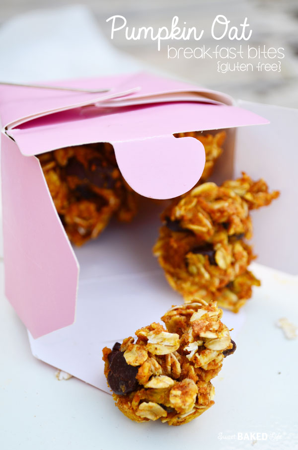 Pumpkin Oat Breakfast Bites