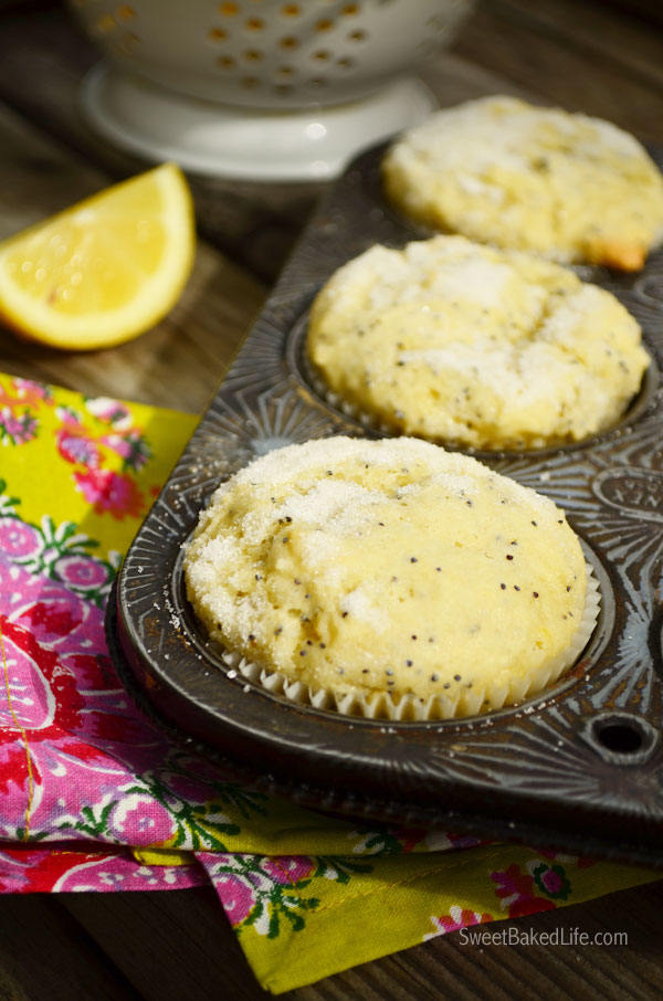 Tangy Lemon Poppy Seed Muffins | Sweet Baked Life