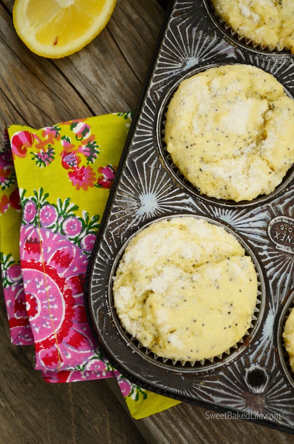 Tangy Lemon Poppy Seed Muffins | Sweet Baked Life