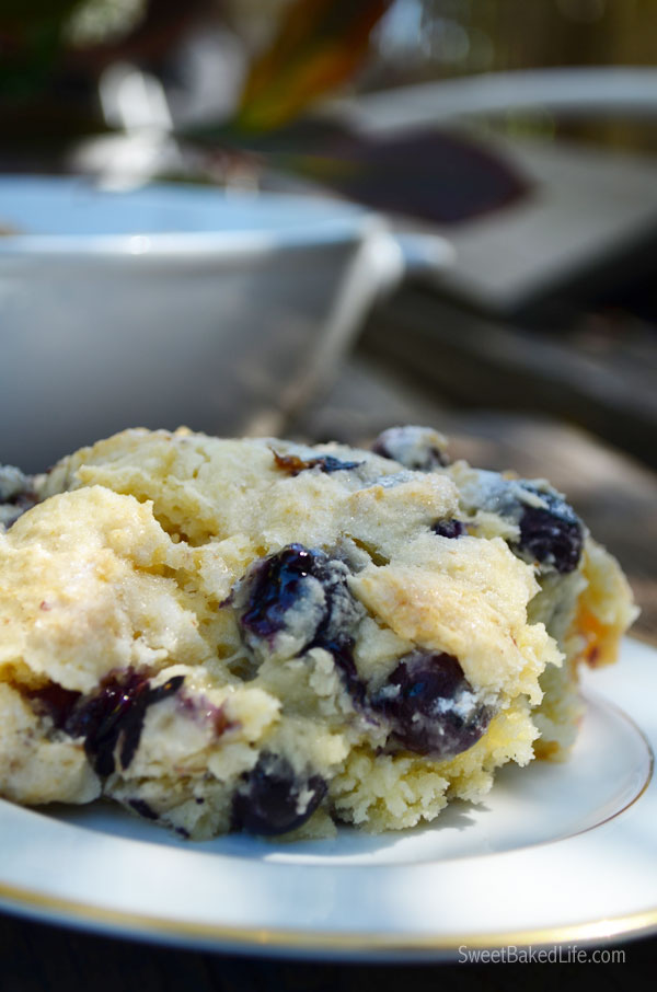 Blueberry Breakfast Cake | Sweet Baked Life