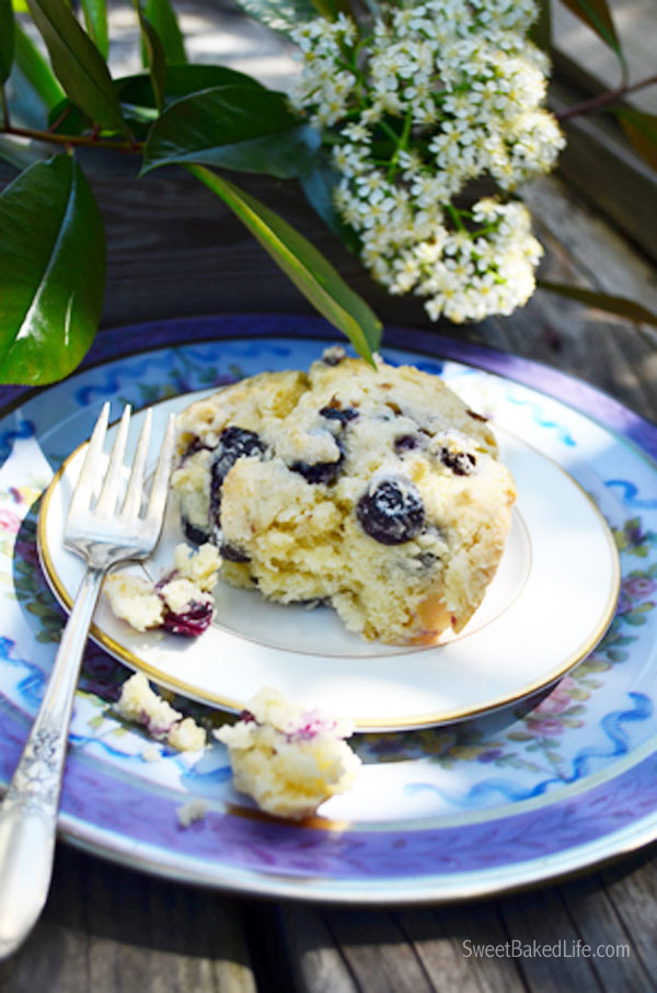 Blueberry Breakfast Cake | Sweet Baked Life