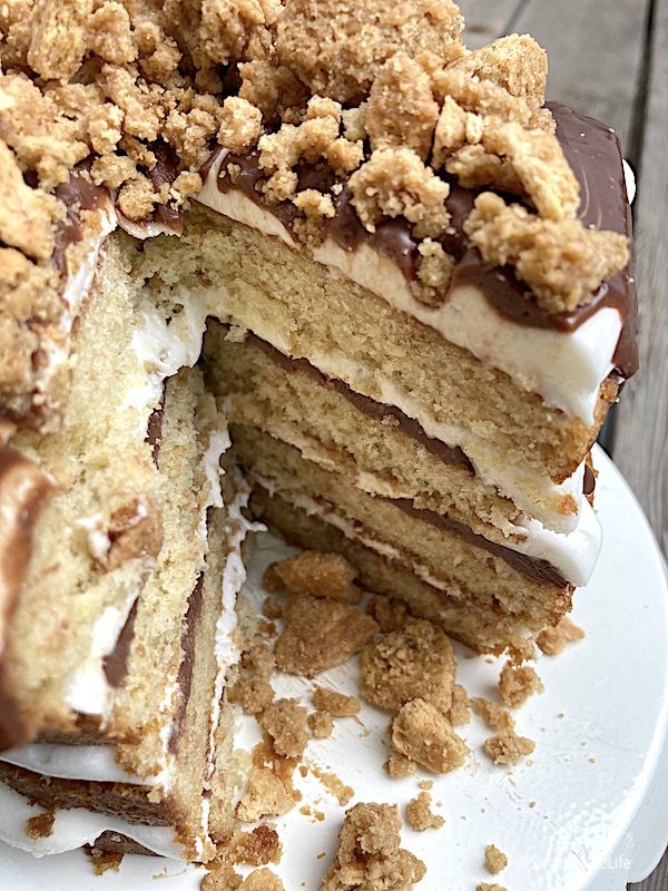 Smores Layer Cake-4